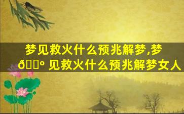梦见救火什么预兆解梦,梦 🐺 见救火什么预兆解梦女人